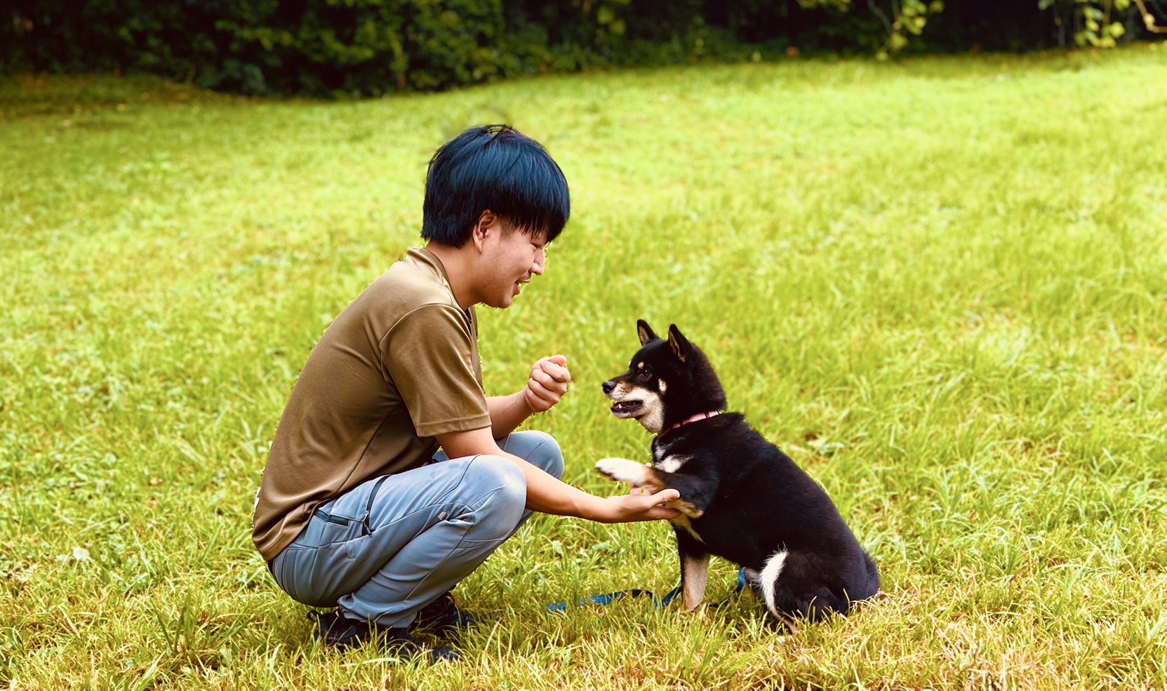 トレーナーと犬の信頼関係作り