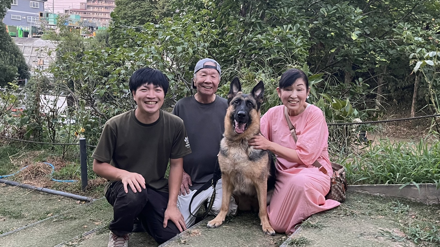 しつけ教室のイメージ