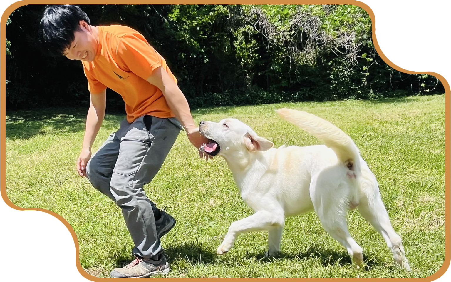 コンセプトの写真